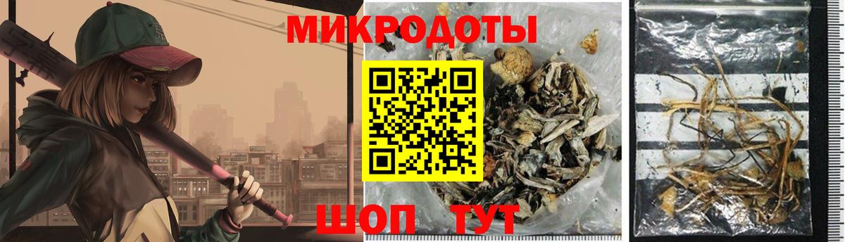 Псилоцибиновые грибы мицелий Вышний Волочёк